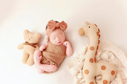 红河宝宝虾的做法